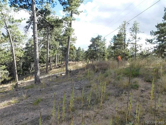 13910 Boulder Lane Larkspur, CO 80118