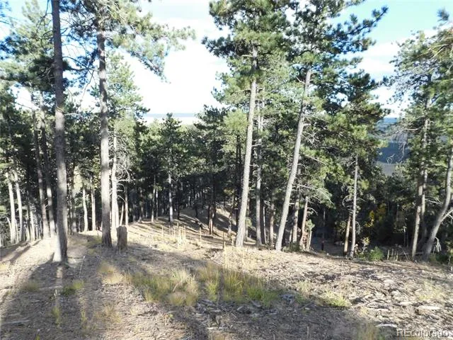 13910 Boulder Lane Larkspur, CO 80118