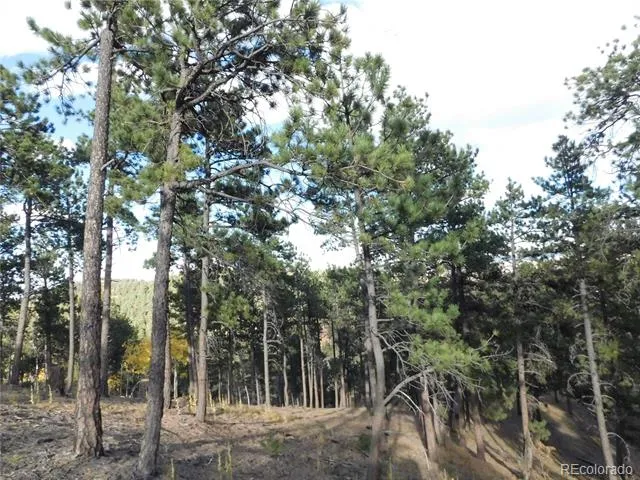 13910 Boulder Lane Larkspur, CO 80118
