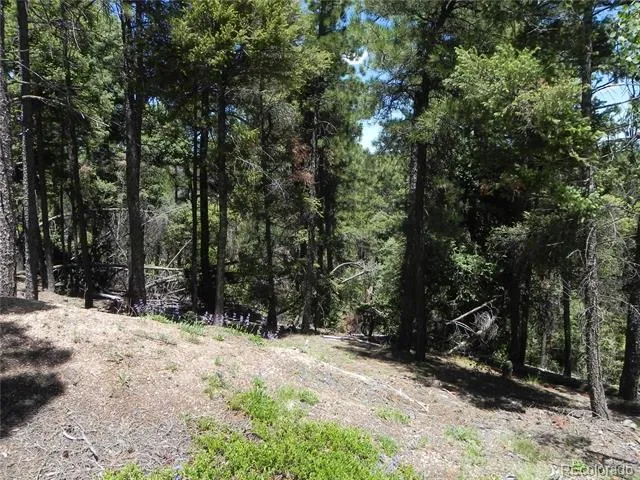 13910 Boulder Lane Larkspur, CO 80118