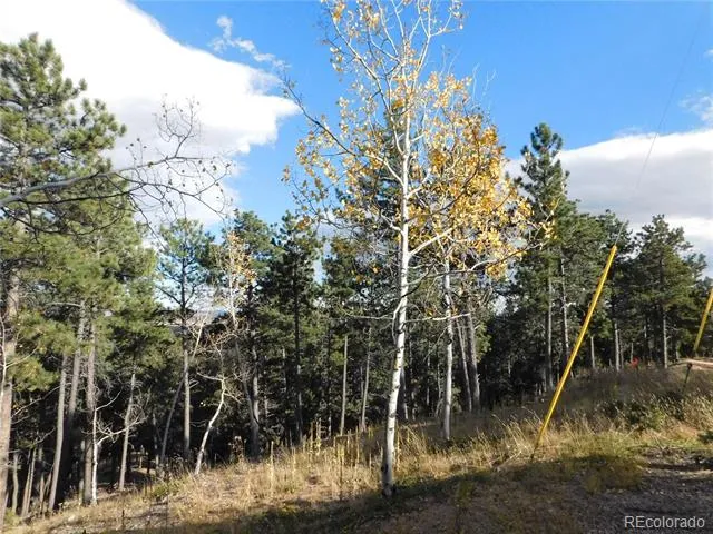 13910 Boulder Lane Larkspur, CO 80118