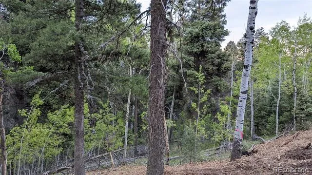 13910 Boulder Lane Larkspur, CO 80118