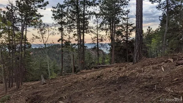 13910 Boulder Lane Larkspur, CO 80118