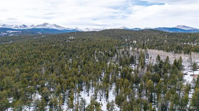 190 Hard Way Road Ward, CO 80481