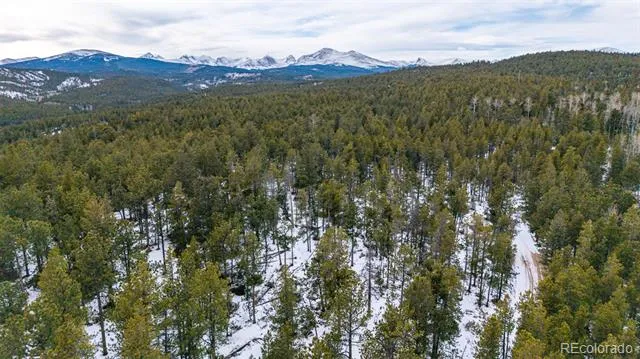 190 Hard Way Road Ward, CO 80481