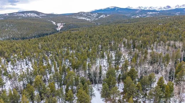 190 Hard Way Road Ward, CO 80481