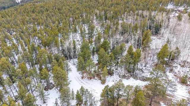 190 Hard Way Road Ward, CO 80481