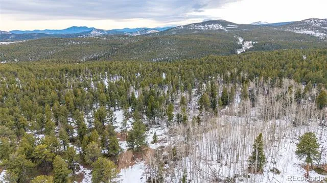 190 Hard Way Road Ward, CO 80481
