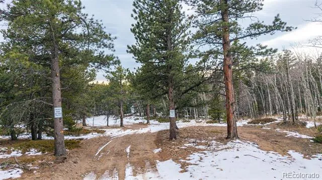 190 Hard Way Road Ward, CO 80481