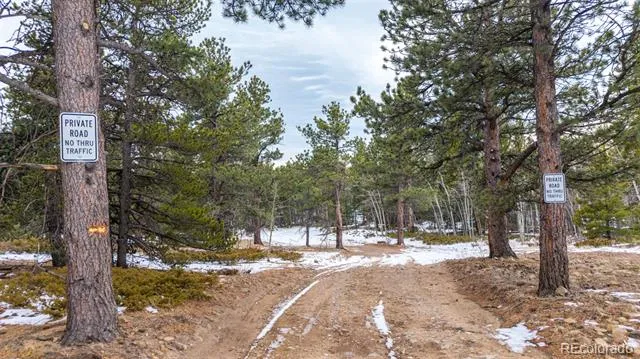 190 Hard Way Road Ward, CO 80481
