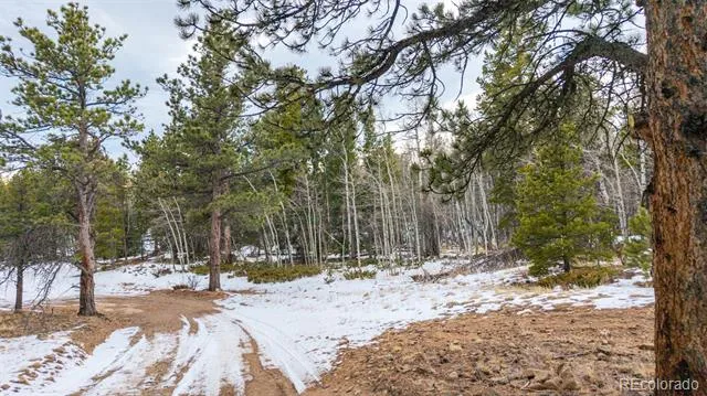 190 Hard Way Road Ward, CO 80481
