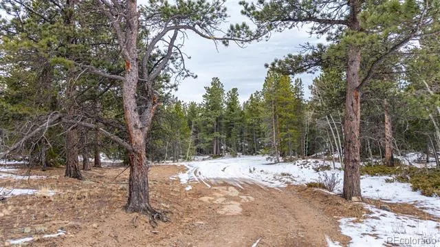 190 Hard Way Road Ward, CO 80481