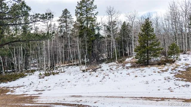190 Hard Way Road Ward, CO 80481