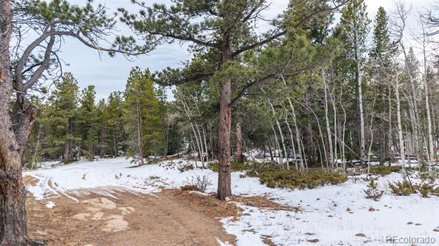 190 Hard Way Road Ward, CO 80481