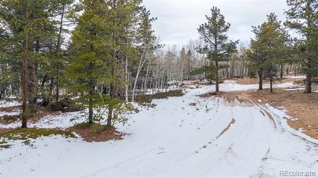 190 Hard Way Road Ward, CO 80481