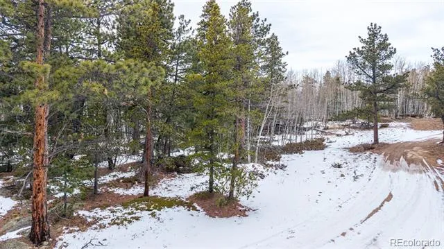 190 Hard Way Road Ward, CO 80481