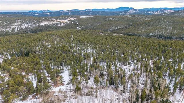190 Hard Way Road Ward, CO 80481