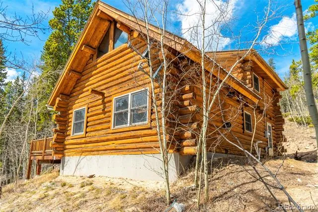 5 Quakie Court Fairplay, CO 80440