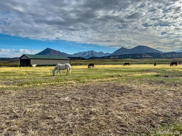 1071 Black Canyon Road Crawford, CO 81415