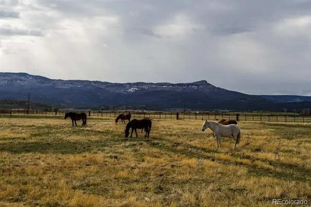 1071 Black Canyon Road Crawford, CO 81415