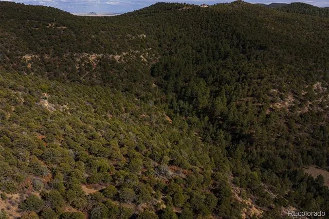 84 North Mountain Walsenburg, CO 81089