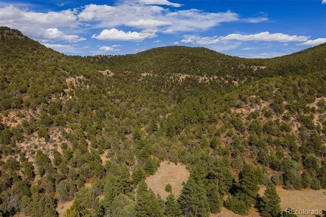 84 North Mountain Walsenburg, CO 81089