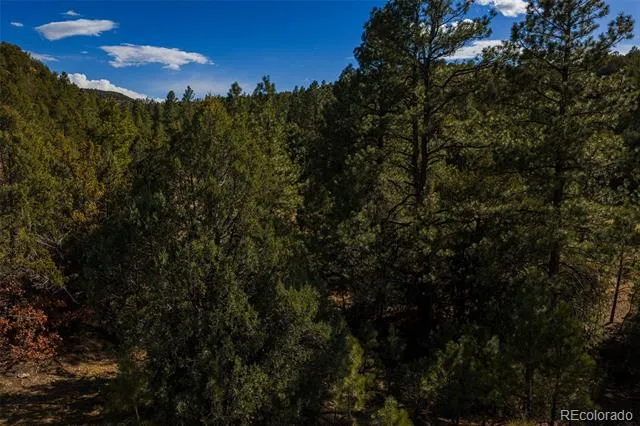84 North Mountain Walsenburg, CO 81089