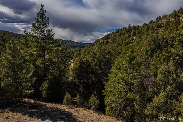 84 North Mountain Walsenburg, CO 81089