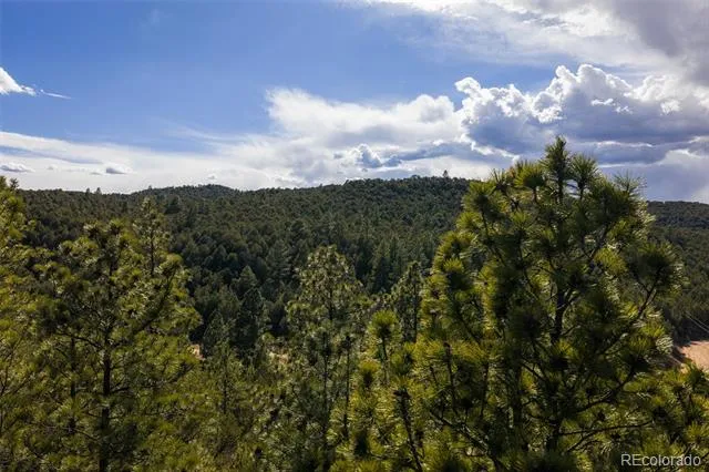 84 North Mountain Walsenburg, CO 81089