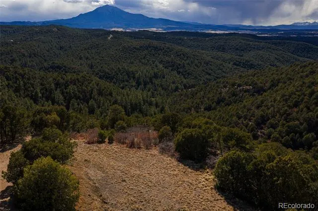 84 North Mountain Walsenburg, CO 81089
