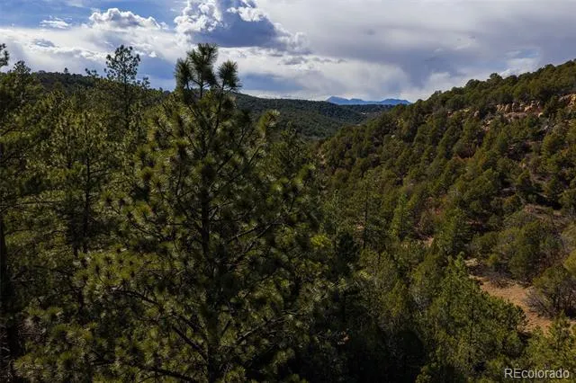 84 North Mountain Walsenburg, CO 81089