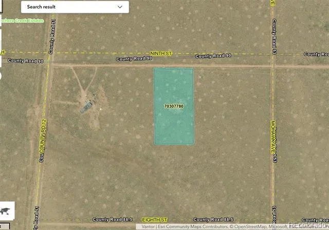 lot 3 Ninth Street Blanca, CO 81123
