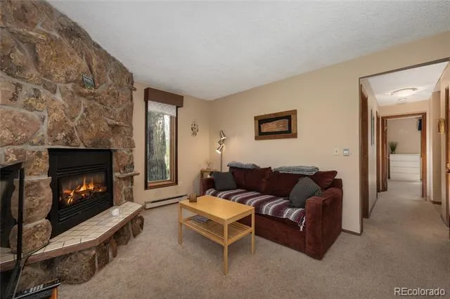 300 Sterling Way #3 Fraser, CO 80442