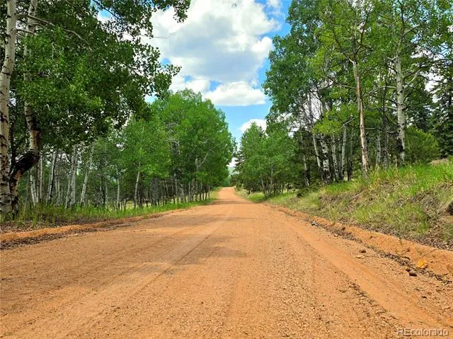 584 Sourdough Road Woodland Park, CO 80863