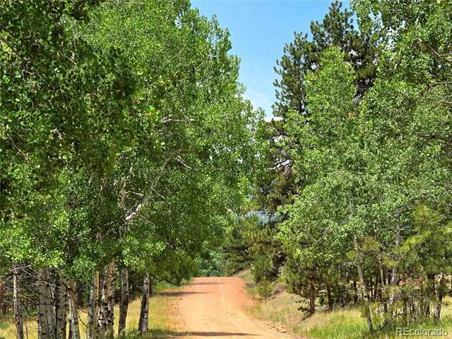 584 Sourdough Road Woodland Park, CO 80863