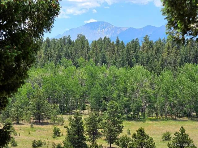 584 Sourdough Road Woodland Park, CO 80863