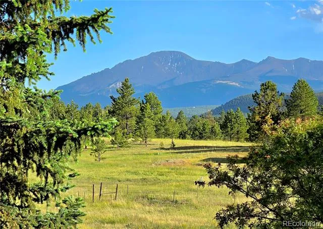 584 Sourdough Road Woodland Park, CO 80863