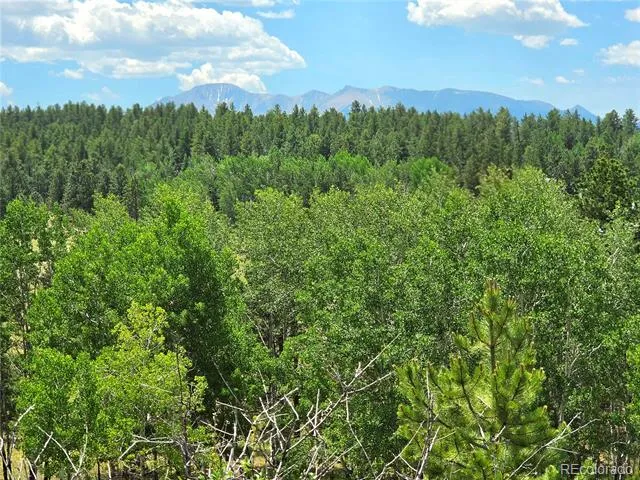 584 Sourdough Road Woodland Park, CO 80863