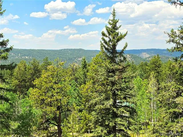 584 Sourdough Road Woodland Park, CO 80863