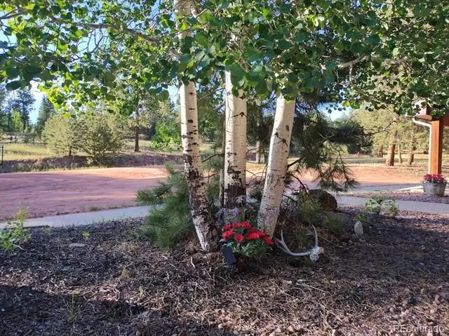 584 Sourdough Road Woodland Park, CO 80863