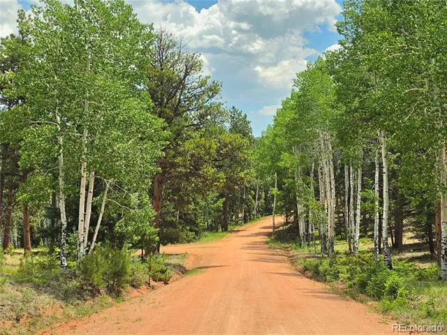584 Sourdough Road Woodland Park, CO 80863