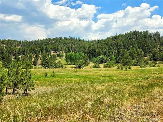 584 Sourdough Road Woodland Park, CO 80863