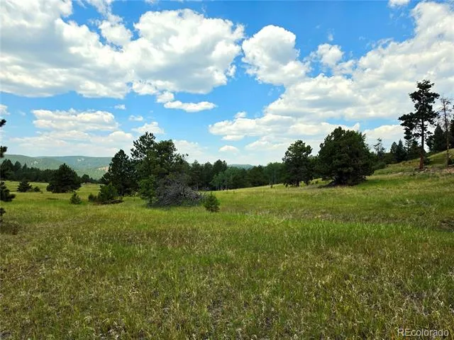 584 Sourdough Road Woodland Park, CO 80863