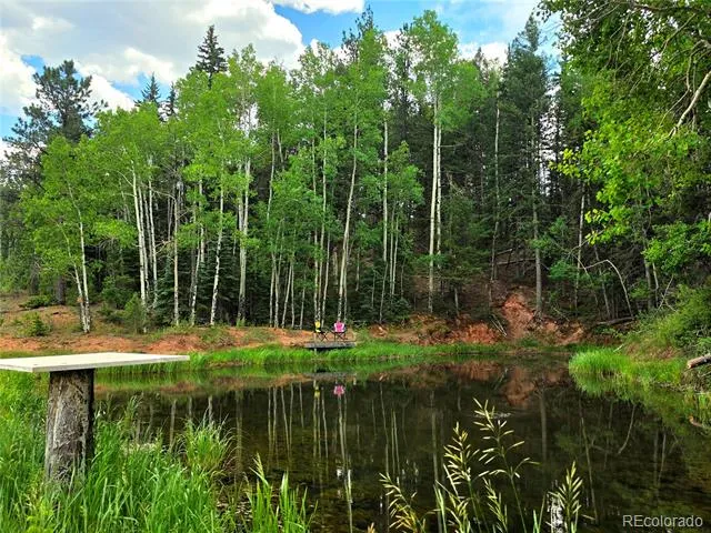 584 Sourdough Road Woodland Park, CO 80863