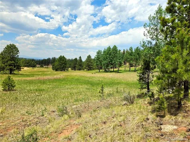 584 Sourdough Road Woodland Park, CO 80863