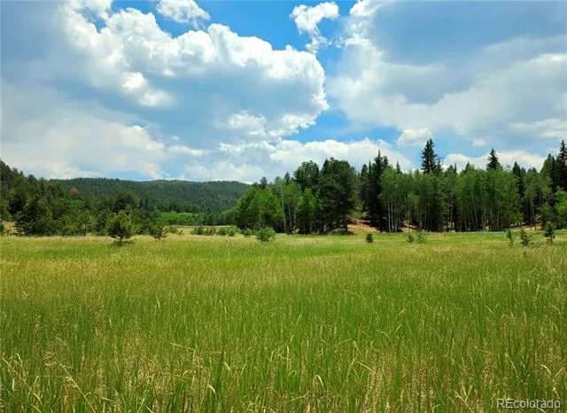 584 Sourdough Road Woodland Park, CO 80863