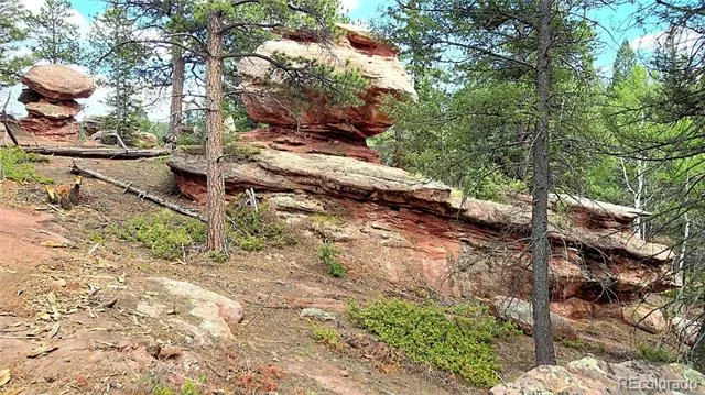 584 Sourdough Road Woodland Park, CO 80863