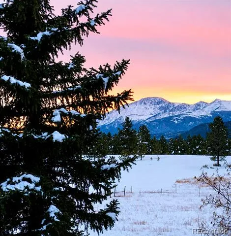 584 Sourdough Road Woodland Park, CO 80863