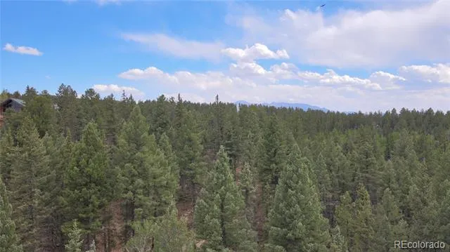584 Sourdough Road Woodland Park, CO 80863