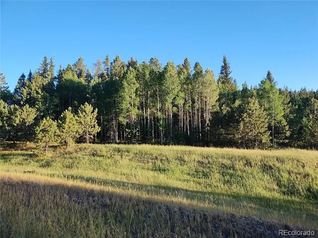584 Sourdough Road Woodland Park, CO 80863